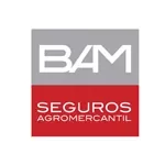 bam